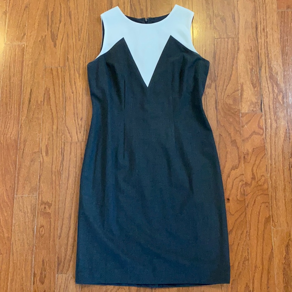 Ann Taylor Sheath Dress